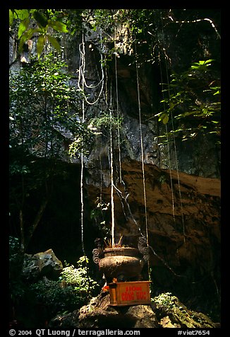 Urn and lianas near the entrance of upper cave, Phong Nha Cave. Vietnam (color)