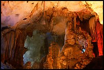 Illuminated cave formations, upper cave, Phong Nha Cave. Vietnam (color)