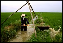 Woman doing irrigation work in a rice field. Vietnam (color)