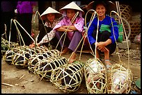 Live pigs all packed for sale, That Khe market. Northest Vietnam (color)