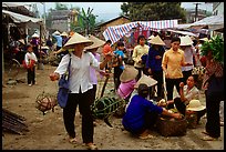 Woman carrying two live pigs, That Khe market. Northest Vietnam
