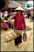 Woman carrying two live pigs, That Khe market. Northest Vietnam (color)