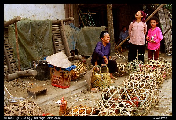 Live poultry for sale, That Khe market. Northest Vietnam