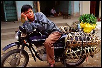 Man on a Russian-made Minsk loaded with live pigs. Northest Vietnam