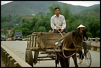 Horse carriage, Cao Bang. Northeast Vietnam (color)