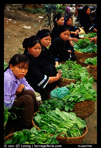Women of the Nung hill tribe sell vegetables at the Cao Bang market. Northeast Vietnam (color)