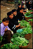 Women of the Nung hill tribe sell vegetables at the Cao Bang market. Northeast Vietnam (color)