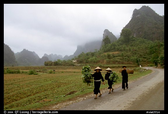 Villagers walking down the road with limestone peaks in the background, Ma Phuoc Pass area. Northeast Vietnam