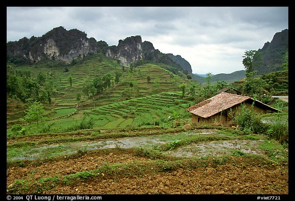 Fields, homes, and peaks, Ma Phuoc Pass area. Northeast Vietnam (color)