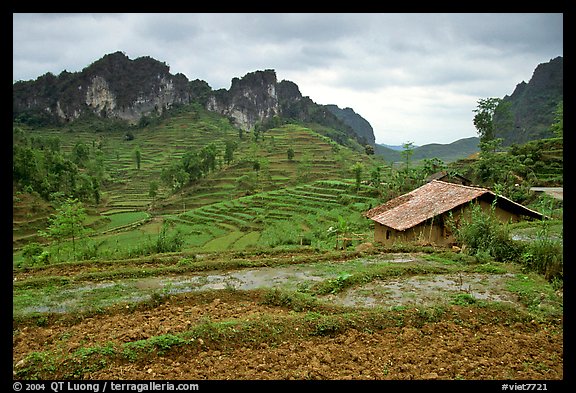 Fields, homes, and peaks, Ma Phuoc Pass area. Northeast Vietnam