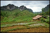 Fields, homes, and peaks, Ma Phuoc Pass area. Northeast Vietnam (color)