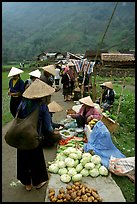 Vegetables for sale at an outdoor market near Ba Be Lake. Northeast Vietnam ( color)