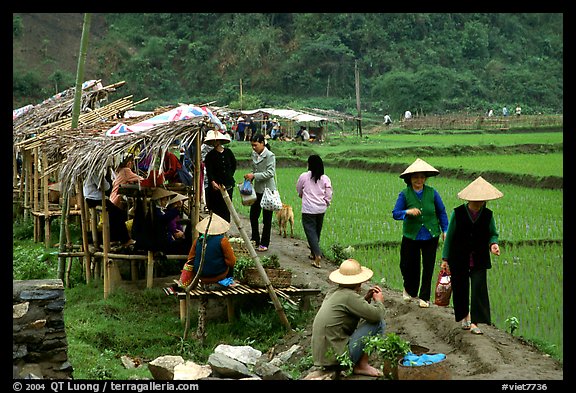 Market set on a dyke amongst rice fields near Ba Be Lake. Northeast Vietnam