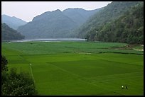 Rice fields below the Pac Ngoi village on the shores of Ba Be Lake. Northeast Vietnam (color)