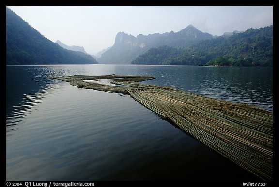 Wood being floated on Ba Be Lake. Northeast Vietnam