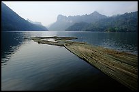 Wood being floated on Ba Be Lake. Northeast Vietnam