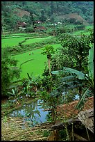 Rice fields near Cho Ra. Northeast Vietnam (color)