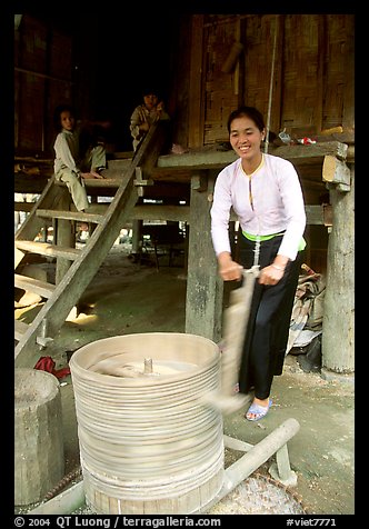Woman of the Thai ethnicity milling grain, near Mai Chau. Northwest Vietnam (color)