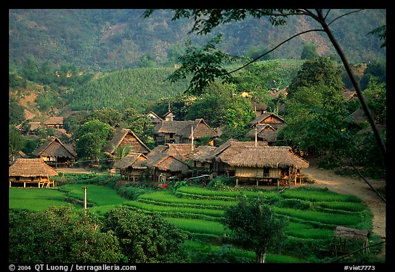 Thai village of stilt houses, near Mai Chau. Northwest Vietnam (color)