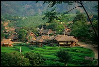 Thai village of stilt houses, near Mai Chau. Northwest Vietnam