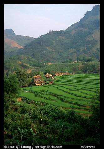 Minority village and rice terraces, near Mai Chau. Northwest Vietnam (color)