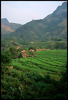 Minority village and rice terraces, near Mai Chau. Northwest Vietnam