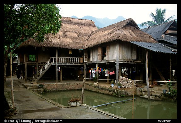 Stilt houses with thatched roofs of Ban Lac village. Northwest Vietnam (color)