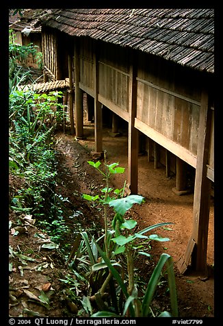 Stilt house detail, in a village near Son La. Northwest Vietnam (color)