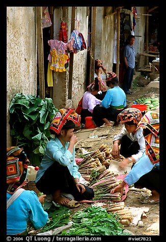 Thai women in the market, Tuan Chau. Northwest Vietnam