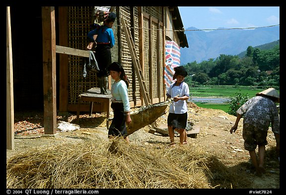 Thai women repair a house, Tuan Giao. Northwest Vietnam