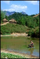 Thai woman riding a water buffalo across a pond near a village, near Tuan Giao. Northwest Vietnam (color)