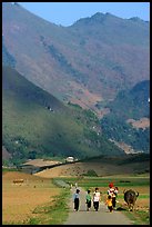 Villagers walking on the road, near Tuan Giao. Northwest Vietnam