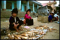 Thai women selling bamboo shoots, Tuan Giao. Northwest Vietnam