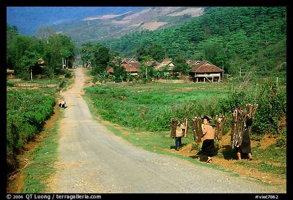 Family carrying logs walking towards their village, between Tuan Giao and Lai Chau. Northwest Vietnam (color)