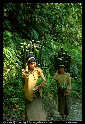 Montagnard women carrying bamboo sections, near Lai Chau. Northwest Vietnam (color)