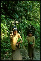 Montagnard women carrying bamboo sections, near Lai Chau. Northwest Vietnam (color)