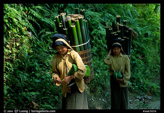 Montagnard women carrying bamboo sections, near Lai Chau. Northwest Vietnam (color)
