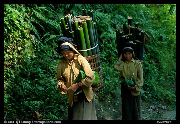 Montagnard women carrying bamboo sections, near Lai Chau. Northwest Vietnam