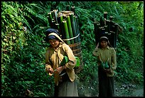 Montagnard women carrying bamboo sections, near Lai Chau. Northwest Vietnam