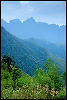 Forests and peaks in the Tram Ton Pass area. Sapa, Vietnam (color)