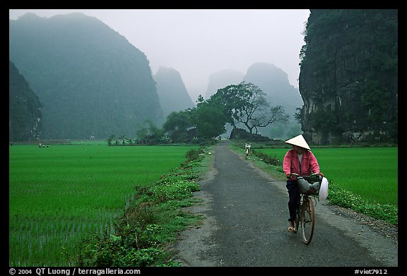 Bicyclist on a dry levee. Ninh Binh,  Vietnam (color)