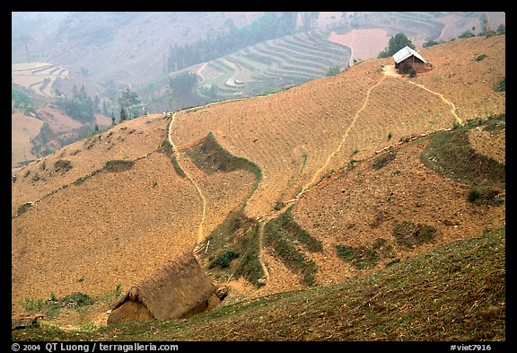 Dry cultivated terraces. Vietnam