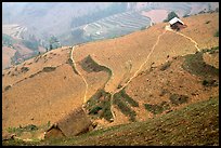 Dry cultivated terraces. Vietnam (color)