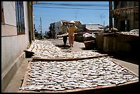 Women carrying a panel of dried fish. Vung Tau, Vietnam