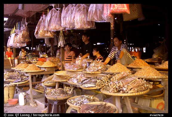 A variety of dried shrimp and fish for sale. Ha Tien, Vietnam (color)