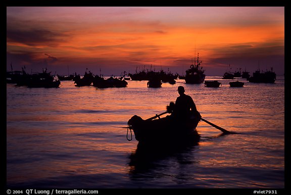 Man in a small boat, with moored boats seen against a vivid sunset. Vung Tau, Vietnam (color)