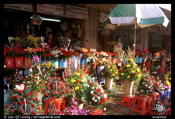 Flowers for sale outside the Ben Than Market. Ho Chi Minh City, Vietnam (color)