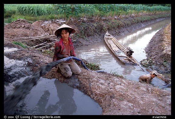 Mechanized irrigation. Mekong Delta, Vietnam (color)