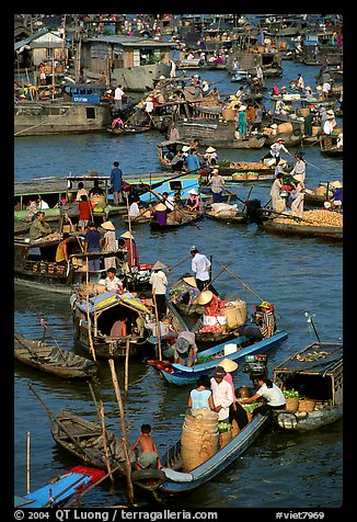 Boats at the Cai Rang floating market, early morning. Can Tho, Vietnam (color)