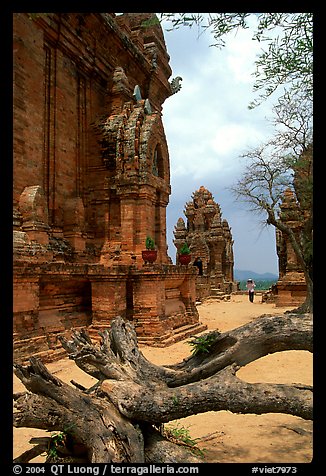 Among the Cham towers of Po Klong Garai. Vietnam (color)